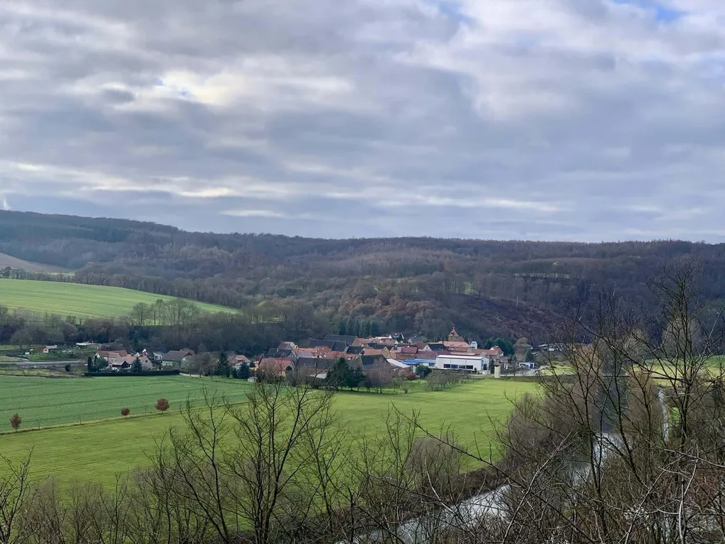 Panoramablick auf Großwangen im grünen Tal
