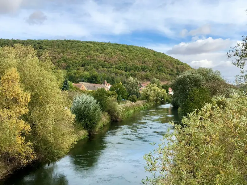 Flusstal mit Bäumen und Hügeln im Sommer