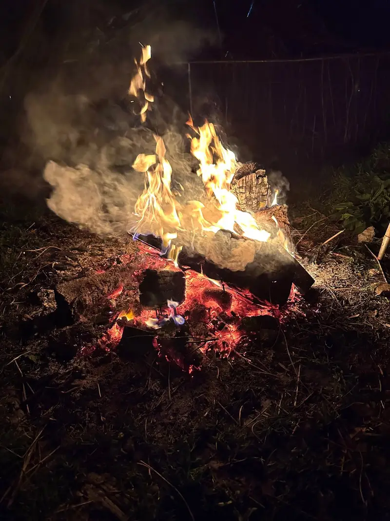 Knisterndes Lagerfeuer in der Nacht