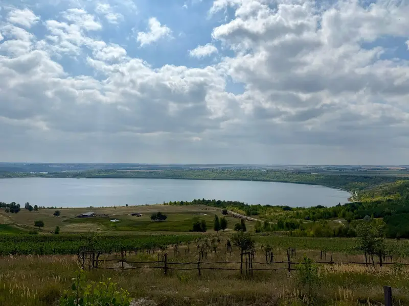 Aussichtspunkt über Weinberge und See