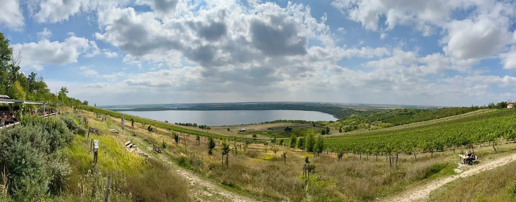 Weinberge mit Blick auf den See und Sitzbereich