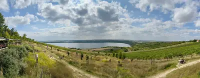 Weinberge mit Blick auf den See und Sitzbereich